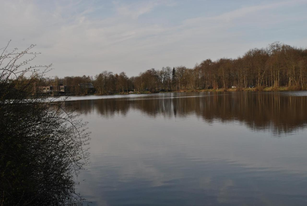 Am Mariental 11 Lägenhet Hankensbuttel Exteriör bild