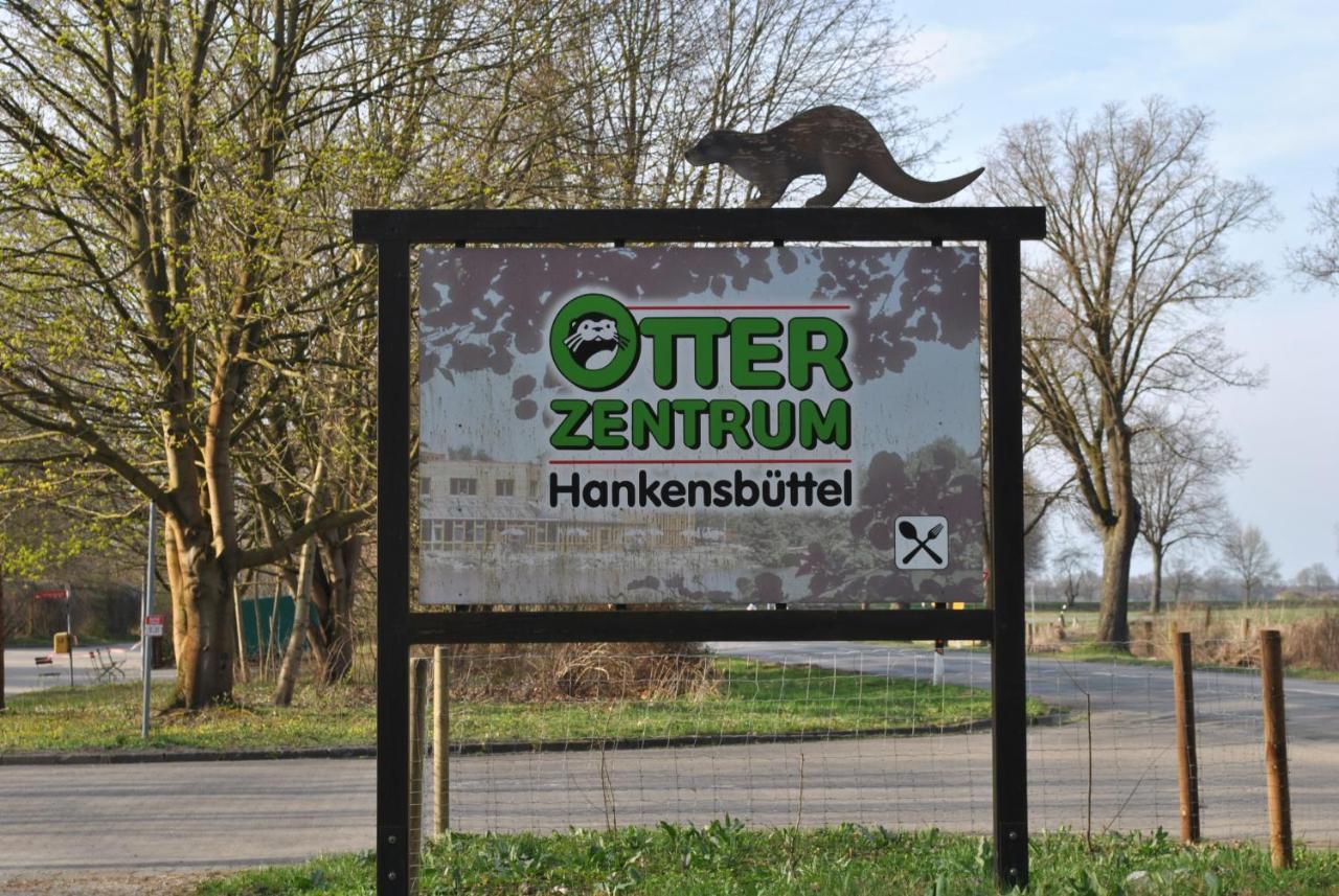 Am Mariental 11 Lägenhet Hankensbuttel Exteriör bild